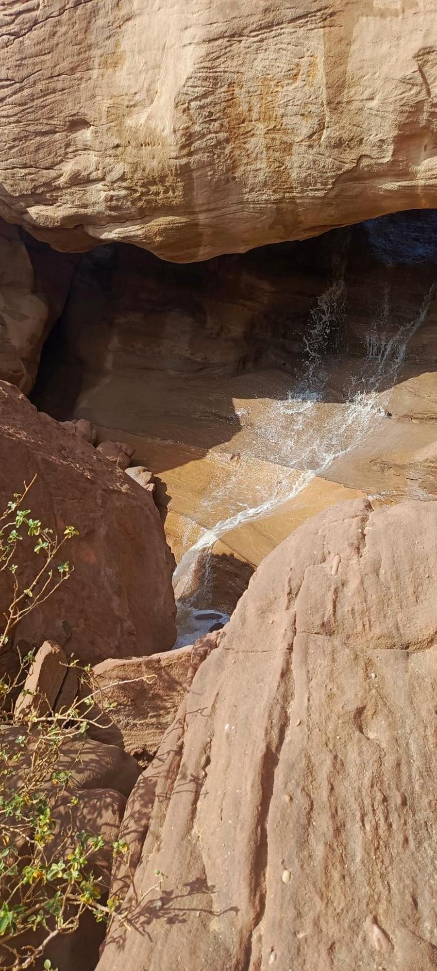 Wadi Rum Aviva Camp Екстериор снимка